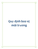 Quy định bảo vệ môi trường