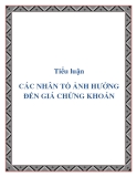 Tiểu luận "Các nhân tố ảnh hưởng đến giá chứng khoán"