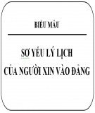 Mẫu Sơ yếu lý lịch của người xin vào Đảng