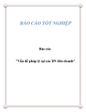 Báo cáo "Vấn đề pháp lý tại các DN liên doanh"