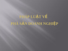 Pháp luật về phá sản doanh nghiệp