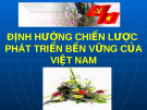 ĐỊNH HƯỚNG CHIẾN LƯỢC PHÁT TRIỂN BỀN VỮNG CỦA VIỆT NAM