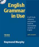 English Grammar in Use: A Self-study Reference and Practice Book for Intermediate Students of English