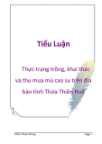 Tiểu luận: Thực trạng trồng, khai thác và thu mua mủ cao su trên địa bàn tỉnh Thừa Thiên Huế