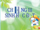 Chương 3: Sinh học đất