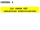 Chapter 4: Hybrid molecules