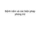 Bệnh nấm và các biện pháp phòng trừ