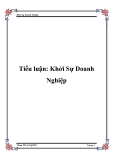 Tiểu luận "Khởi Sự Doanh Nghiệp"