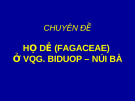 CHUYÊN ĐỀ  HỌ DẺ (FAGACEAE) Ở VQG. BIDUOP – NÚI BÀ