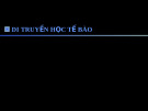 DI TRUYỀN HỌC TẾ BÀO