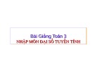 Bài giảng Toán chương 3: Nhập môn đại số tuyến tính