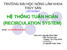 HỆ THỐNG TUẦN HOÀN - Nguyễn Minh Hiếu