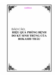 BÁO CÁO "HIỆU QUẢ PHÒNG BỆNH DO KÝ SINH TRÙNG CỦA BOKASHI TRẦU"