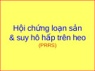 Hội chứng loạn sản và suy hô hấp trên heo (PRRS)