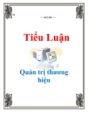 Tiểu luận Quản trị thương hiệu: Quản trị thương hiệu của công ty may thời trang Việt Tiến