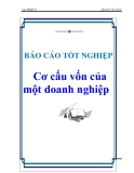 Tiểu luận: Cơ cấu vốn của một doanh nghiệp