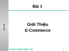 Giới Thiệu E-Commerce và những lý thuyết căn bản