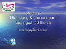 Chương 2: Hình dạng & các cơ quan bên ngoài cơ thể cá