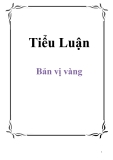 Tiểu luận: Bản vị vàng