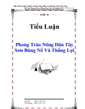 Tiểu Luận : Phong Trào Nông Dân Tây Sơn Bùng Nổ Và Thắng Lợi