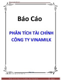 Tiểu luận: Phân tích công ty cổ phần sữa Vinamilk