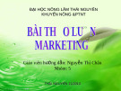 Marketing - Cam sành