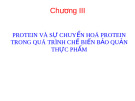 Chương 3: protein và sự chuyển hóa protein trong quá trình chế biến bảo quản thực phẩm