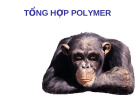 Tổng hợp polymer