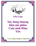 Tiểu luận: Xây dưng thương hiệu sản phẩm Cam sành Hàm Yên