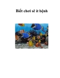 Biết chơi sẽ ít bệnh  