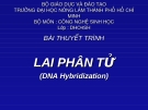 Thuyết trình " Lai phân tử "