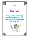 Tiểu luận: Công nghiệp hóa nông nghiệp nông thôn_ Con đường nâng cao thu nhập cho nông dân