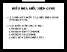 Điều hòa biểu hiện gene