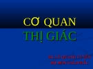 CƠ QUAN THỊ GIÁC