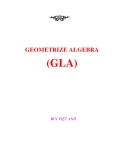 GEOMETRIZE ALGEBRA (GLA) - BÙI VIỆT ANH