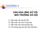 Bài 7 - Văn hóa ứng xử với môi trường xã hội