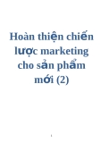 Hoàn thiện chiến lược marketing cho sản phẩm mới(2)