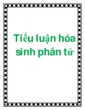 Tiểu luận hóa sinh phân tử