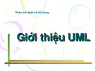 Phân tích thiết kế hệ thống - Giới thiệu UML