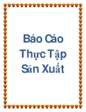 Báo Cáo Thực Tập Sản Xuất