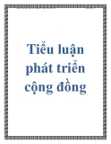 Tiểu luận phát triển cộng đồng