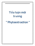 Tiểu luận môi trường " Phytoextraction "