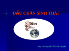 Bài thuyết trình dấu chân sinh thái