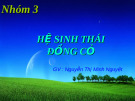 Hệ sinh thái đồng cỏ