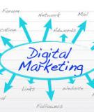 Tổng quan về Digital Marketing ở Việt Nam 2009