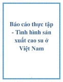 Báo cáo thực tập - Tình hình sản xuất cao su ở Việt Nam