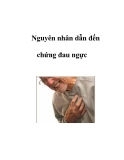 Nguyên nhân dẫn đến chứng đau ngực   