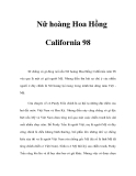 Nữ hoàng Hoa Hồng California 98 