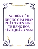 NGHIÊN CỨU NHỮNG GIẢI PHÁP PHÁT TRIỂN KINH TẾ HÀNG HÓA TỈNH QUẢNG NAM