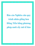 Báo cáo Nghiên cứu quy trình nhân giống hoa Đồng Tiền bằng phương pháp nuôi cấy mô tế bào